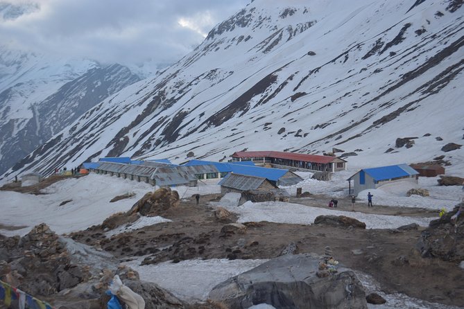 Annapurna Base Camp, Nepal 10 days - Day 7: Eight hours downhill to Bamboo