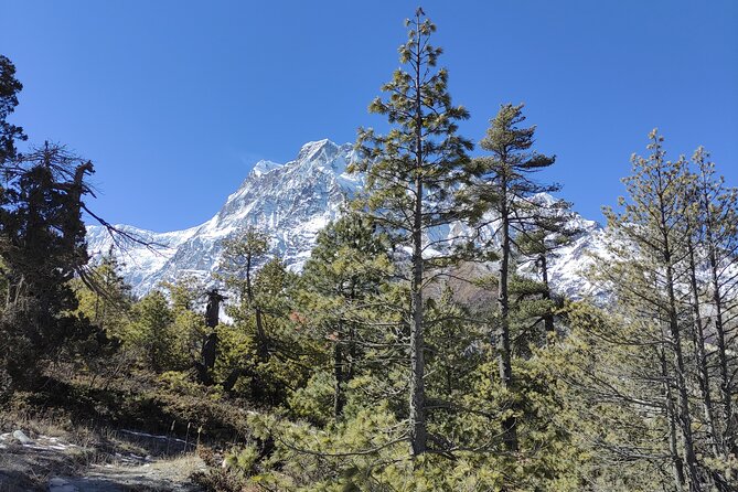 Annapurna Base Camp Trek 10 Days - Key points to know before you book