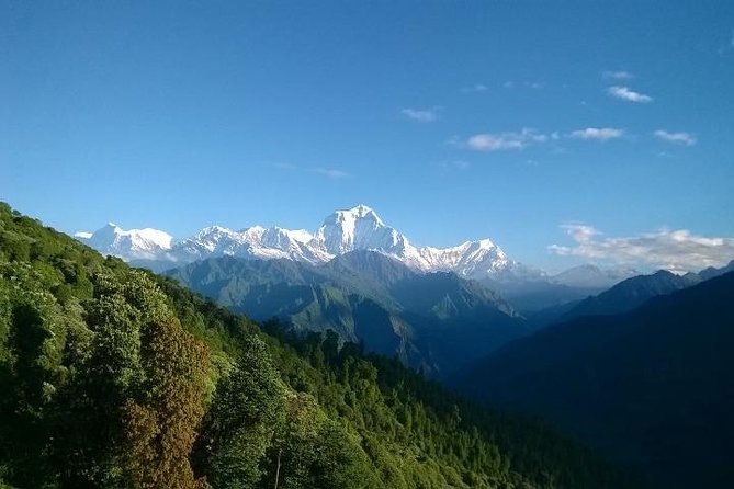 Annapurna Base Camp Trek - 11 Days - Nayapul to Ghorepani, the first real test
