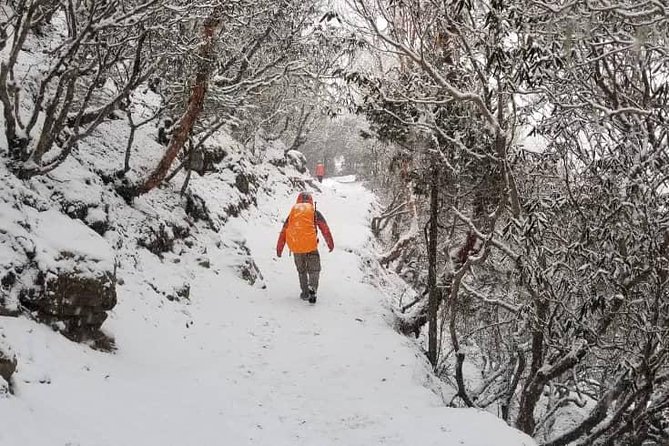 Annapurna base camp trek 5 Days - Day 3: Upper Sinuwa and the first serious mountain rhythm