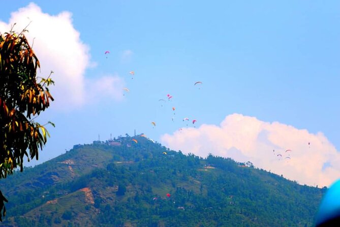 Best Nepal Tour: Kathmandu Pokhara Chitwan Tour - Chitwan changes the pace from temples to the jungle