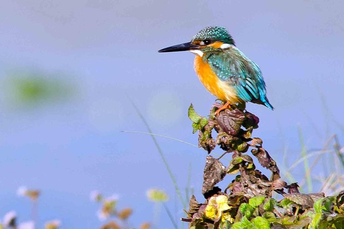 Best of Nepal Luxury Adventure Tour Package - 9 Days - Key points to know before booking