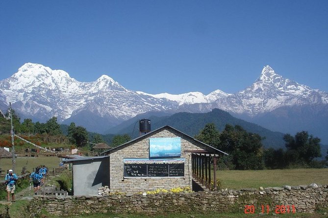 Best of Nepal Luxury Adventure Tour Package - 9 Days - Day 3: Safari, canoe, birds, and Tharu culture