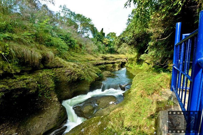 Best of Nepal Luxury Adventure Tour Package - 9 Days - Day 4: Leaving the jungle for Pokhara