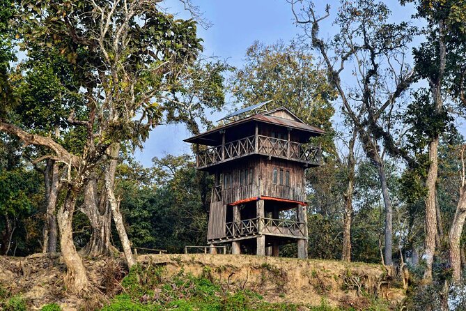Chitwan Jungle Safari 3-Day Tour - Why Chitwan is worth the long ride from Kathmandu