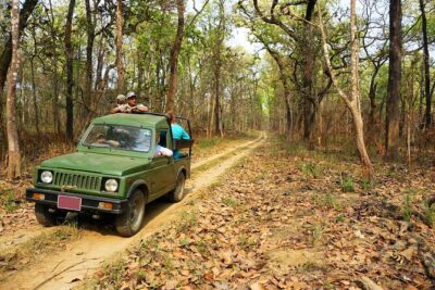 Chitwan Jungle Safari 3-Day Tour
