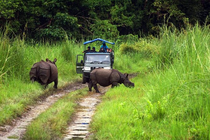 Chitwan Jungle Safari 3-Day Tour - Who will like this Chitwan safari most
