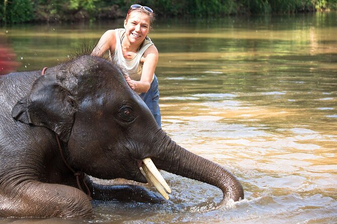 Chitwan National Park Tour - An evening walk and Tharu culture on day one