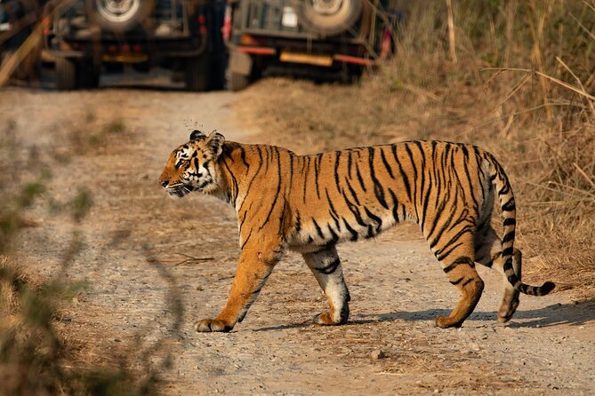 Chitwan National Park Tour - A second Tharu program after the safari