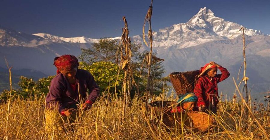 Day Hike at Annapurna Foothills - Weather, clothing, and practical preparation