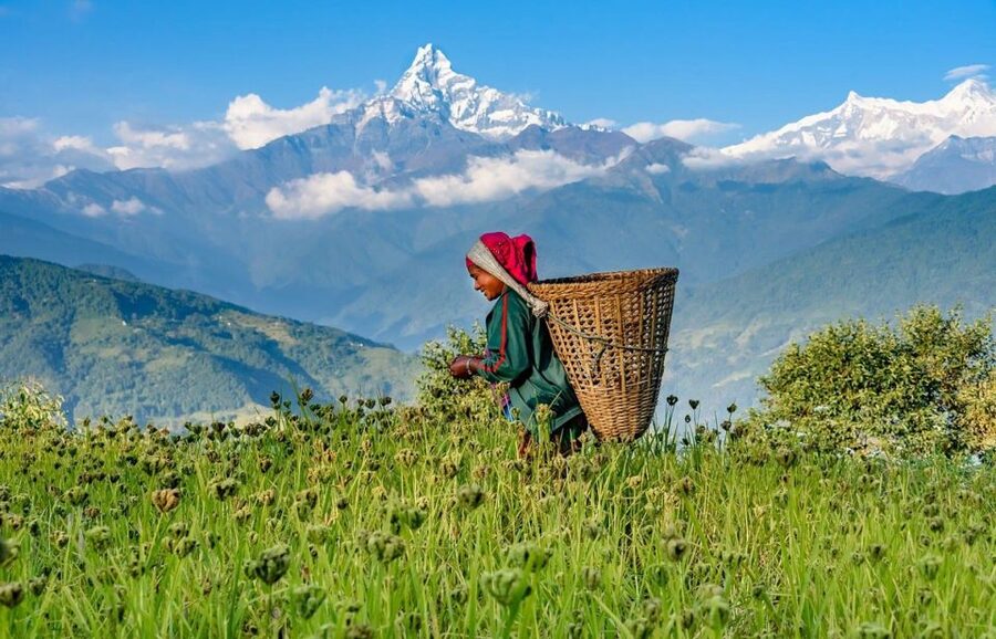 Day Hike at Annapurna Foothills - Along the ridge toward Dhampus village