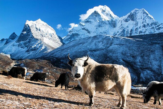 Everest Base Camp Helicopter Tour - Why this is the quick way to see Everest
