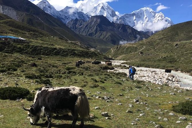 Everest Base Camp Helicopter Tour landing at Everest View Hotel - Weather, refunds, and practical planning