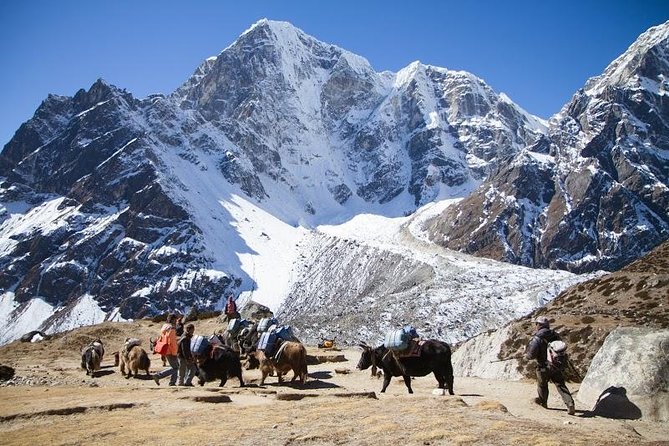 Everest Base Camp Trek with Helicopter Return to Lukla - 10 Days - Key points at a glance
