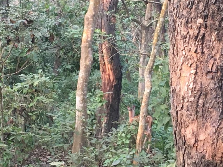 From Chitwan : Half Day Jeep Safari Tour - Meeting your jeep in Sauraha