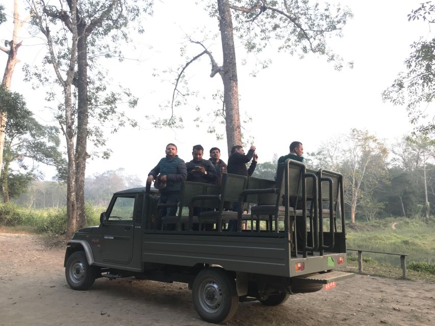 From Chitwan : Jeep Safari,Canoeing,Forest walk Day Tour - Rhinos, deer, monkeys, and the chance of a tiger