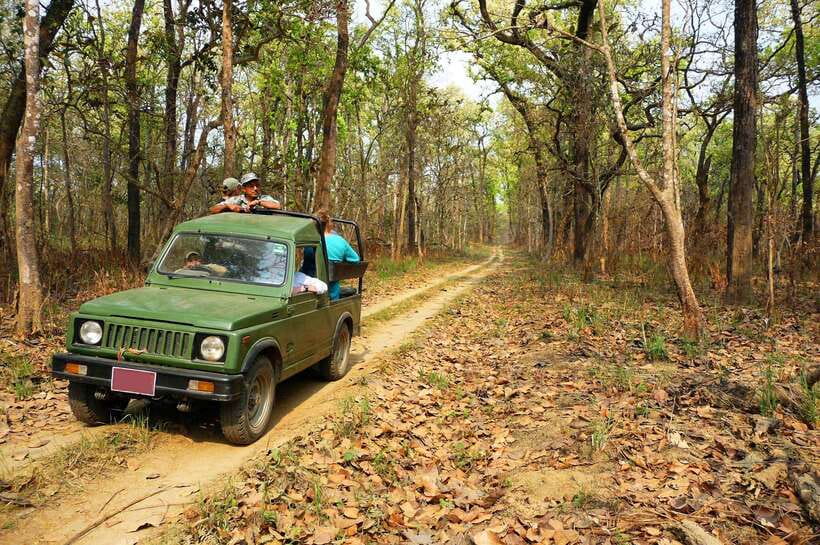 From Kathmandu/Pokhara: 2, 3, or 4-Day Chitwan Jungle Safari - What a Chitwan safari really offers