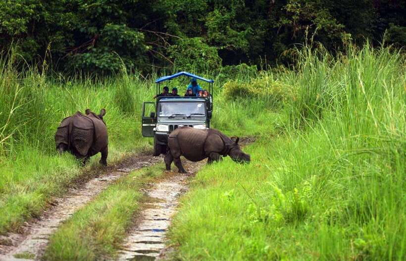 From Kathmandu/Pokhara: 2, 3, or 4-Day Chitwan Jungle Safari - Day two: jeep safari and conservation centers