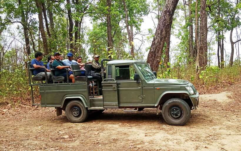 From Kathmandu/Pokhara: 2, 3, or 4-Day Chitwan Jungle Safari - Day three and the jungle tower