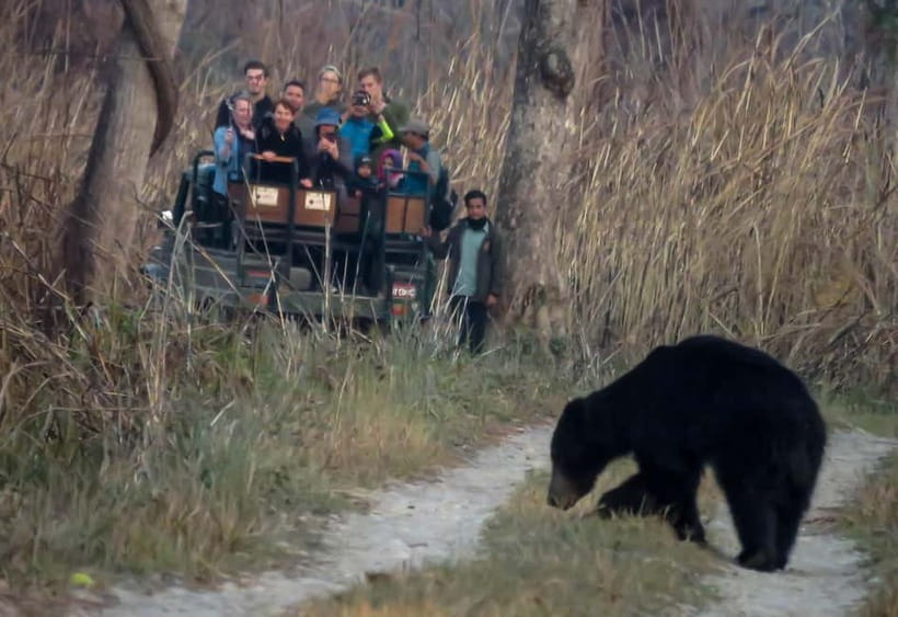 From Kathmandu/Pokhara: 3-Day Chitwan National Park Tour - Key points at a glance
