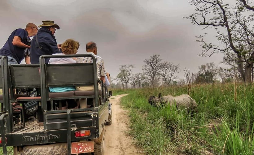 From Kathmandu/Pokhara: 3-Day Chitwan National Park Tour - Final call: should you book it?
