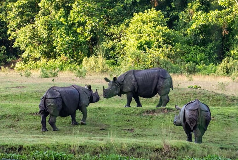 From Kathmandu/Pokhara: 3-Day Chitwan National Park Tour - What the $136 price really covers