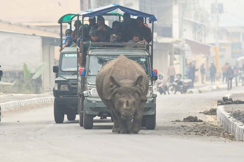 From Kathmandu/Pokhara: 3-Day Chitwan National Park Tour - What to pack and how to behave in the park