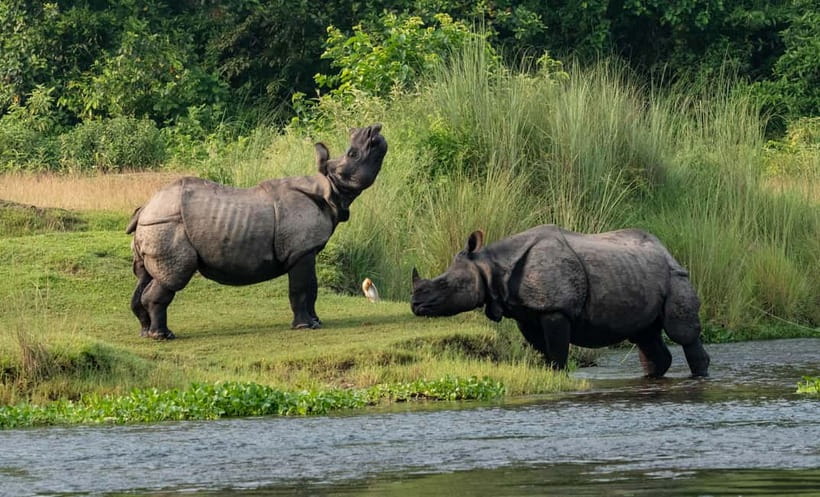 From Kathmandu/Pokhara: 3-Day Chitwan National Park Tour - The five-to-six-hour journey from Kathmandu or Pokhara
