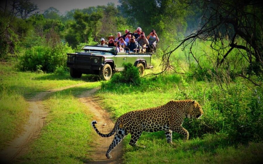 From Kathmandu/Pokhara: Private 3-Day Chitwan Safari Tour - Key points at a glance