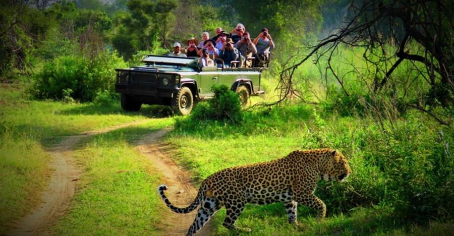 From Kathmandu/Pokhara: Private 3-Day Chitwan Safari Tour - Day 2: Jeep safari through Chitwan National Park