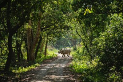 Private 3-Day Chitwan Safari Tour
