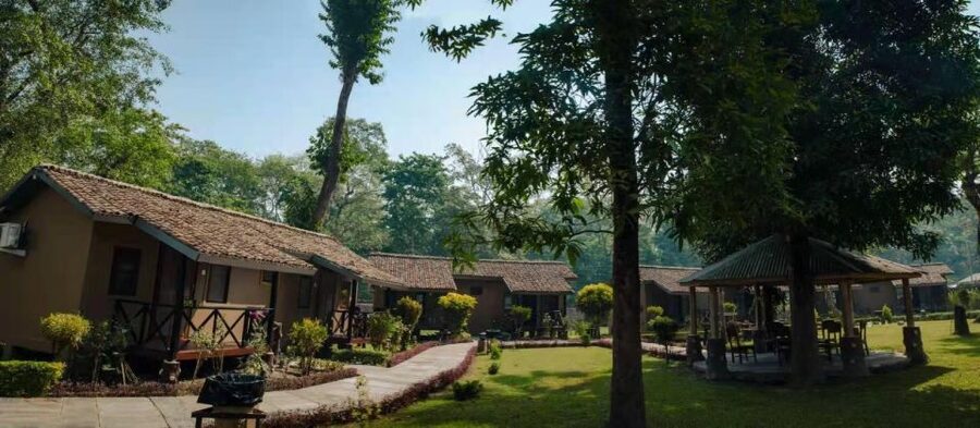 From Kathmandu/Pokhara: Private 3-Day Chitwan Safari Tour - Day 3: A guided nature walk before departure