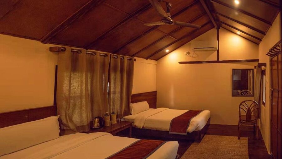 From Kathmandu/Pokhara: Private 3-Day Chitwan Safari Tour - The wildlife chances, without false promises