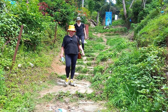 From Kathmandu: Private Scenic Day Hike to NamoBuddha - Should you book the NamoBuddha day hike?