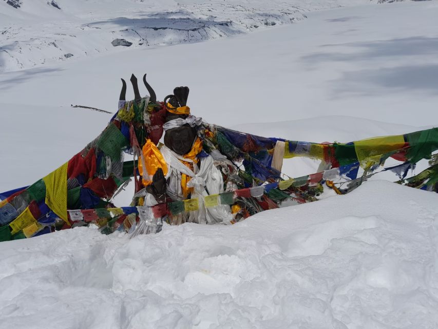 From Pokhara: 10-Day Poon Hill and Annapurna Base Camp Trek - Gurung villages and Chhomrong at 2,170 meters