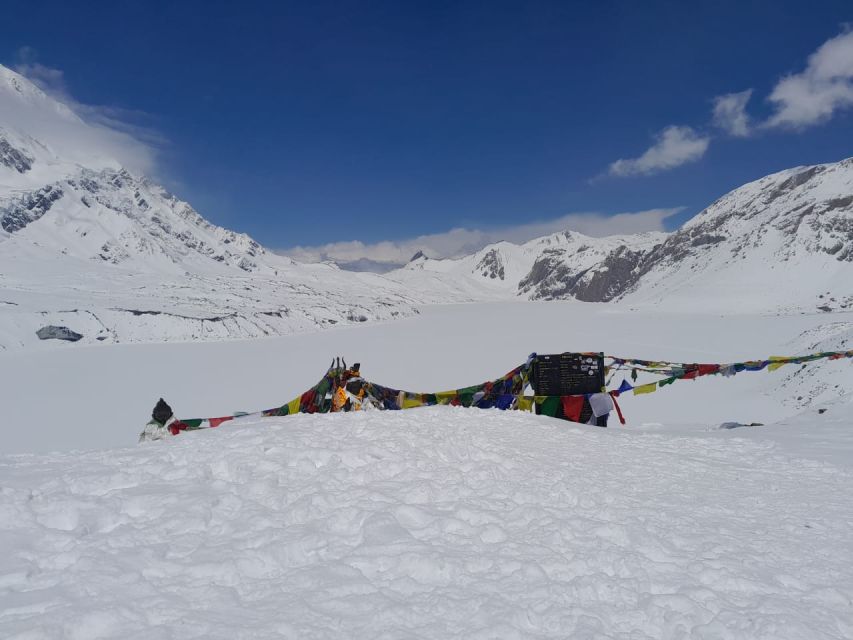 From Pokhara: 10-Day Poon Hill and Annapurna Base Camp Trek - Bamboo and the Modi Khola valley