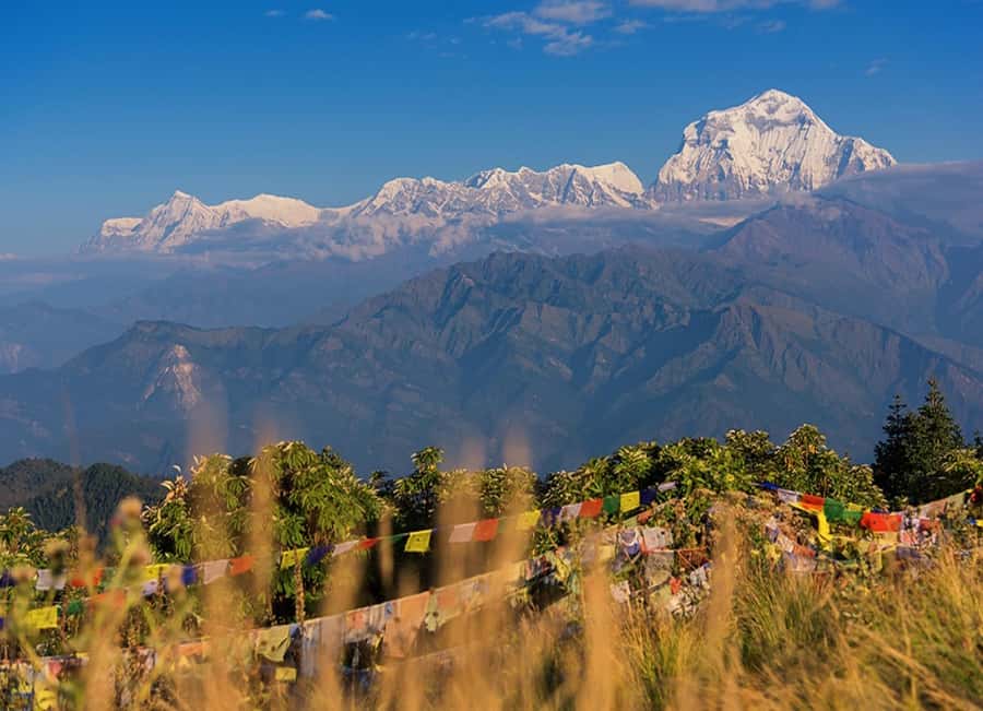 From Pokhara: 3-Day Ghorepani Poon Hill Trek with Guide - What the guide adds to the experience