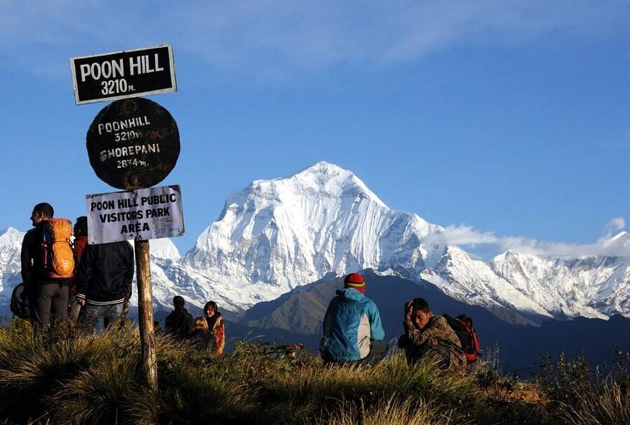 From Pokhara: 3-Day Ghorepani Poonhill Short Trek - Day two: forest trails from Ulleri to Ghorepani