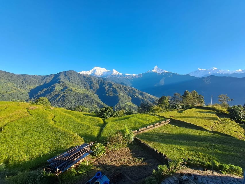 From Pokhara: 3-Day Ghorepani Poonhill Short Trek - Day three: the pre-dawn climb to Poon Hill