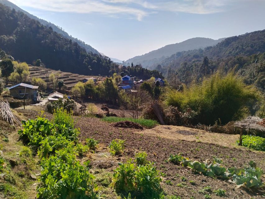 From Pokhara: 4-Day Annapurna and Poon Hill Himalayan Trek - Day two: Poon Hill sunrise and the walk to Tadapani