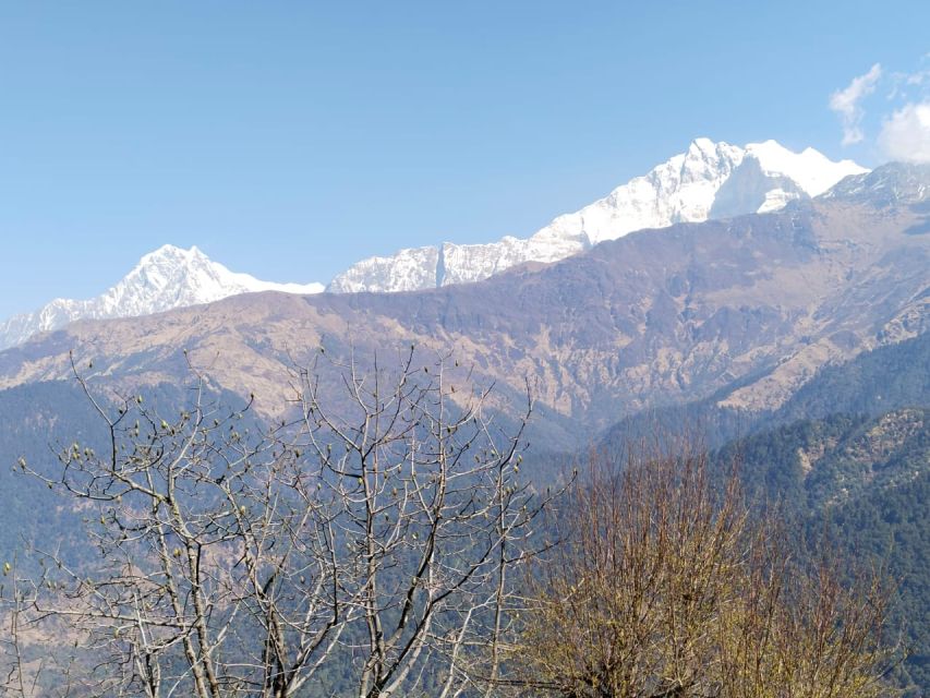 From Pokhara: 4-Day Annapurna and Poon Hill Himalayan Trek - How difficult is the trek?
