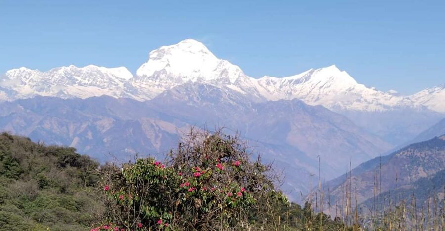 From Pokhara: 4-Day Annapurna and Poon Hill Himalayan Trek - Day one: Ulleri, forest trails, and Ghorepani