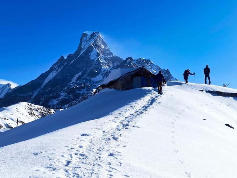 From Pokhara: 4-Day Mardi Himal Base Camp Trek - Day 2: Forest Camp to High Camp