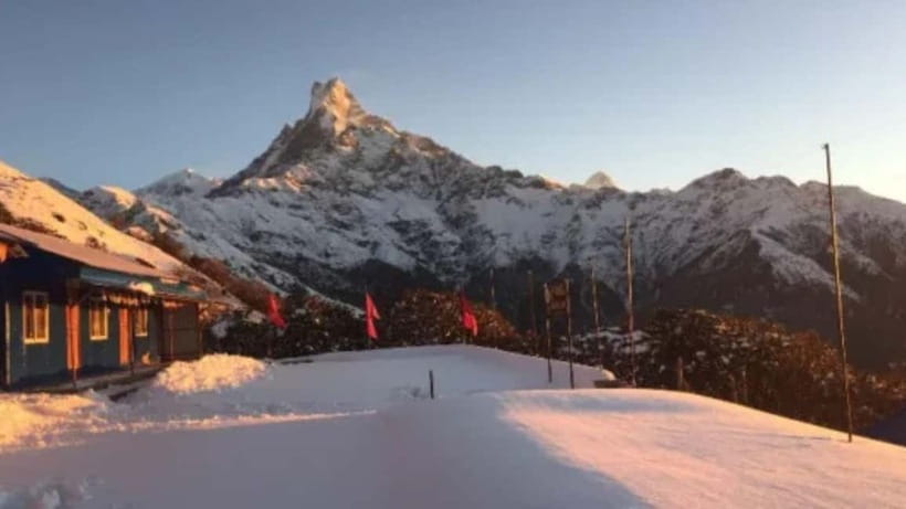 From Pokhara: 4-Day Mardi Himal Base Camp Trek - Day 3: High Camp, sunrise, and the Base Camp decision