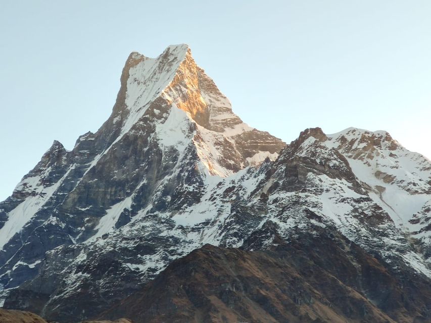 From Pokhara: 5-Day Annapurna Basecamp Trek with Hot Springs - The long return to Bamboo