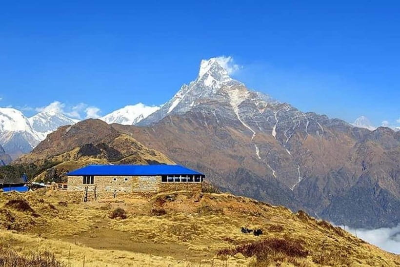 From Pokhara: 5-Day Mardi Himal Base Camp Trek - Guides, porters, and the value of the private format