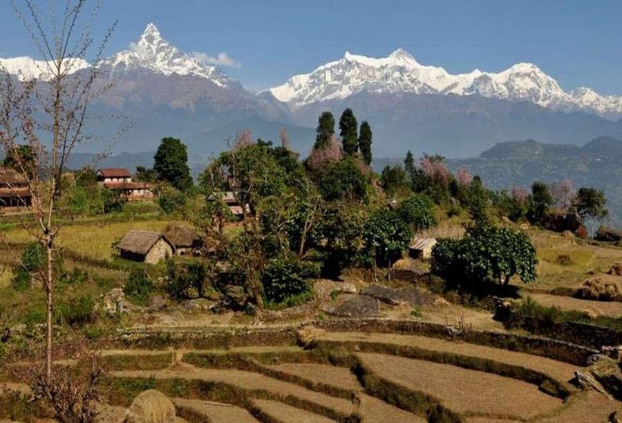 From Pokhara: Annapurna View Day Hike - Who should book this hike