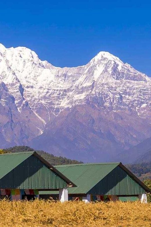From Pokhara: Annapurna View Day Hike - Dhampus to Phedi: a quiet finish
