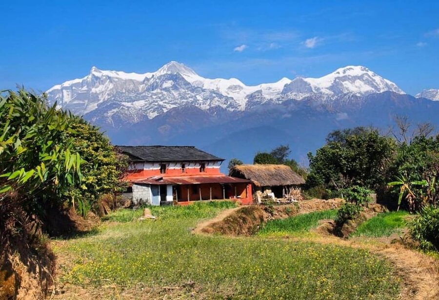 From Pokhara: Annapurna View Day Hike - Guides, pace, and private-group benefits