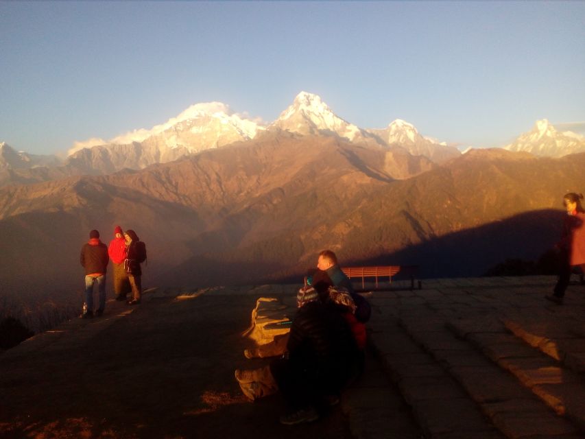 From Pokhara: Budget 2 Night 3 days Poon hill trek - Day two: Forest ridges from Tadapani to Ghorepani